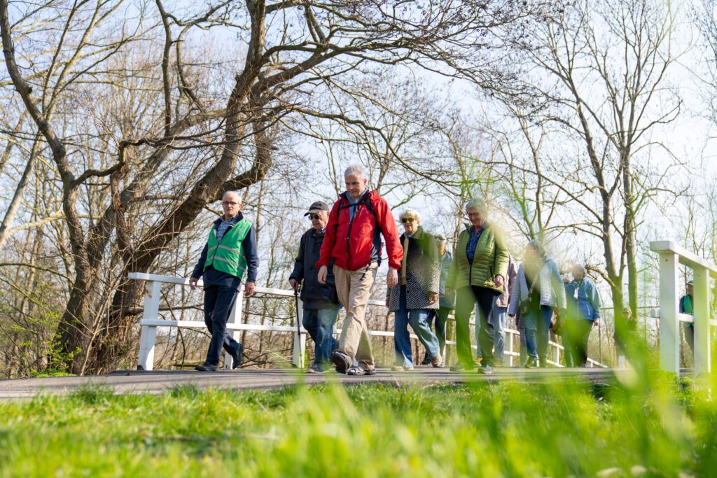 Ouderen die wandelen door de natuur